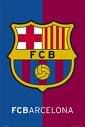 Best soccer team in Spain! ... FC Barcelona Pictures, Images and Photos