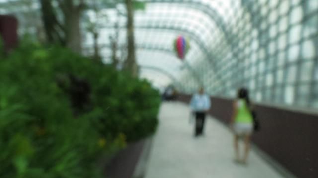 photo IMG_4004_zpsa054fade.jpg