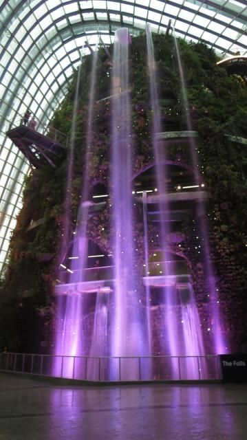photo IMG_4024_zps9cbd42aa.jpg