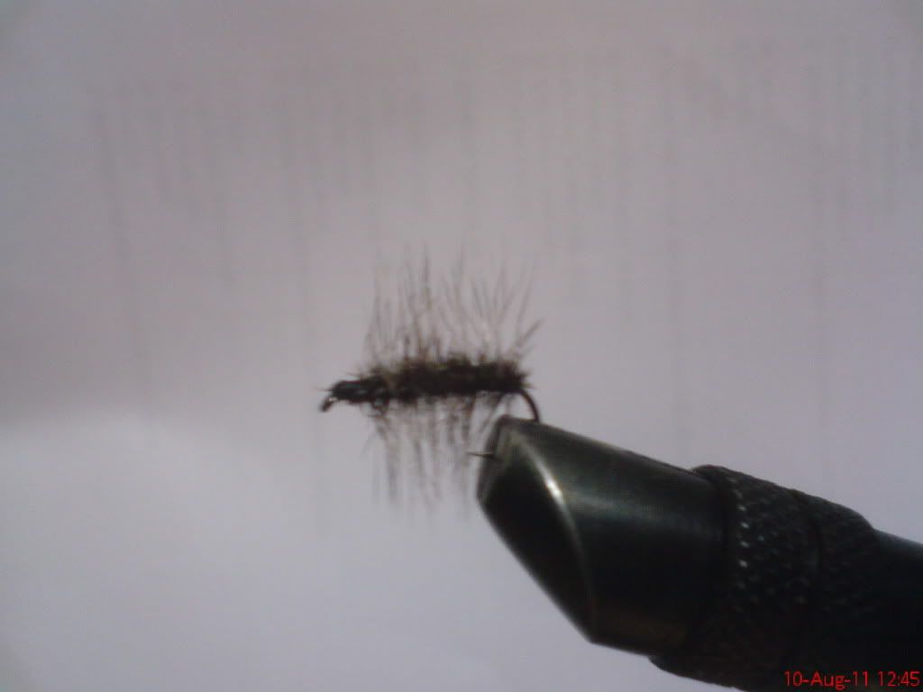 DSC00141-2.jpg