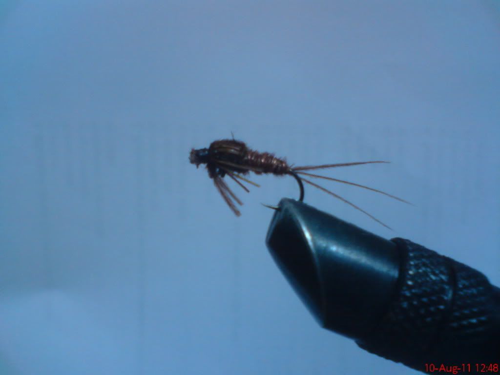 DSC00146.jpg