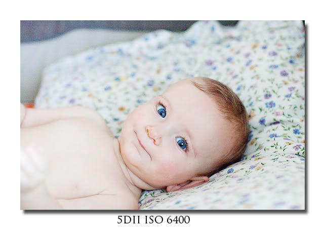 IMAGE: http://i721.photobucket.com/albums/ww213/KrysiaG2/2009%20May/IMG_0061web.jpg