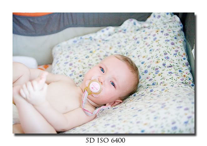 IMAGE: http://i721.photobucket.com/albums/ww213/KrysiaG2/2009%20May/IMG_9670PPweb.jpg