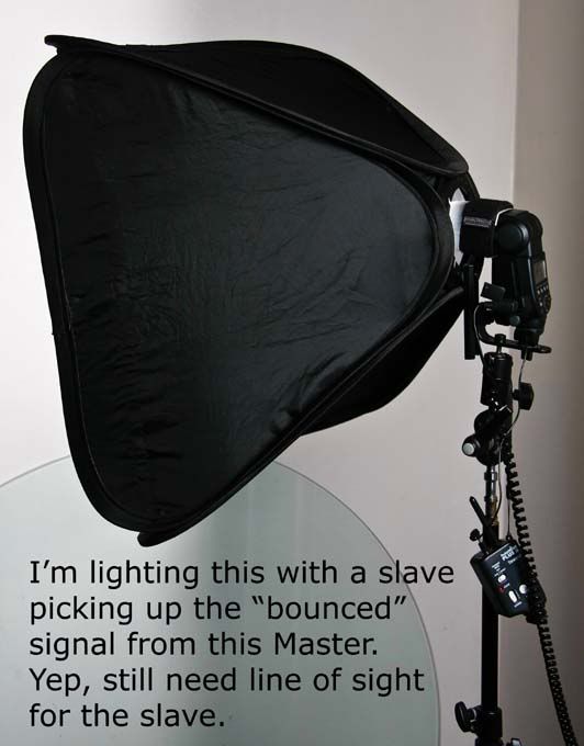 This image is copyrighted by the owner
