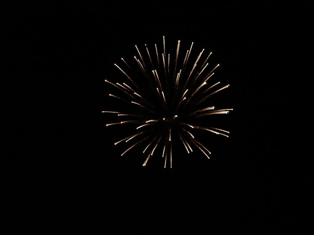 4th of July dogs photo: 4th of July Fireworks DSC02689Large.jpg