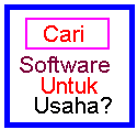 Software Unik