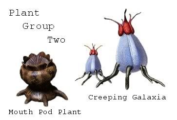 Plant20Group20Two.jpg