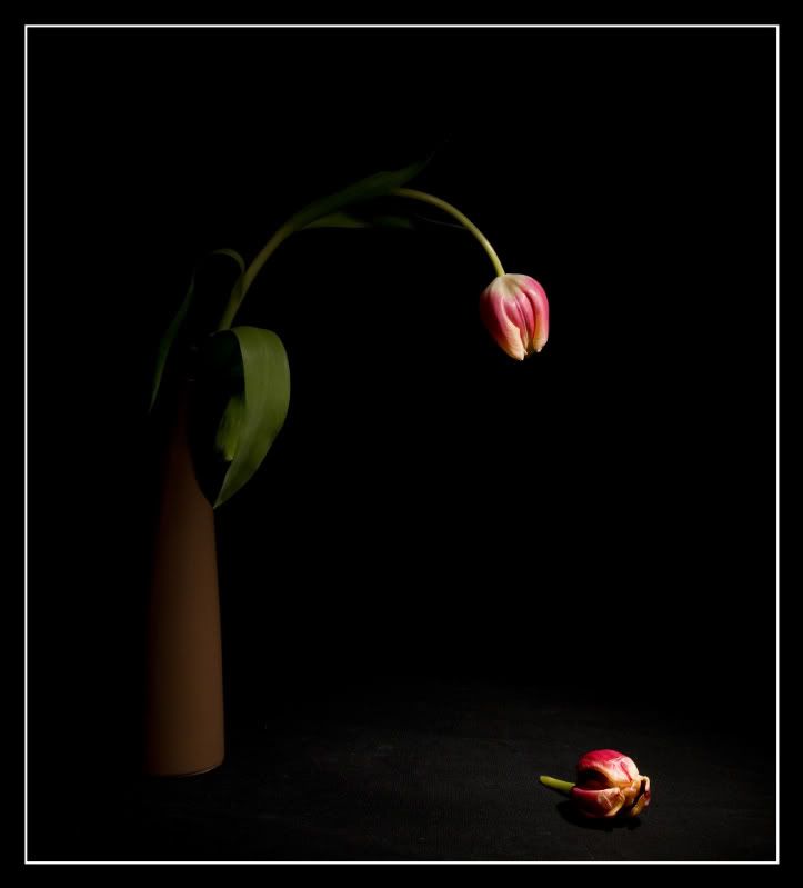 Fotografie