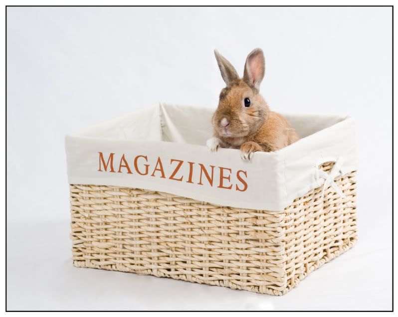 Fotografie