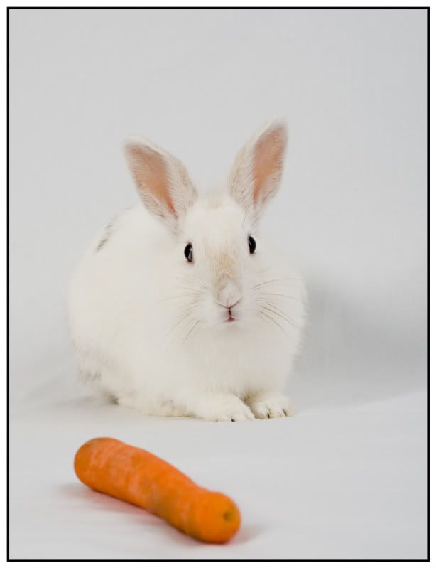 Fotografie