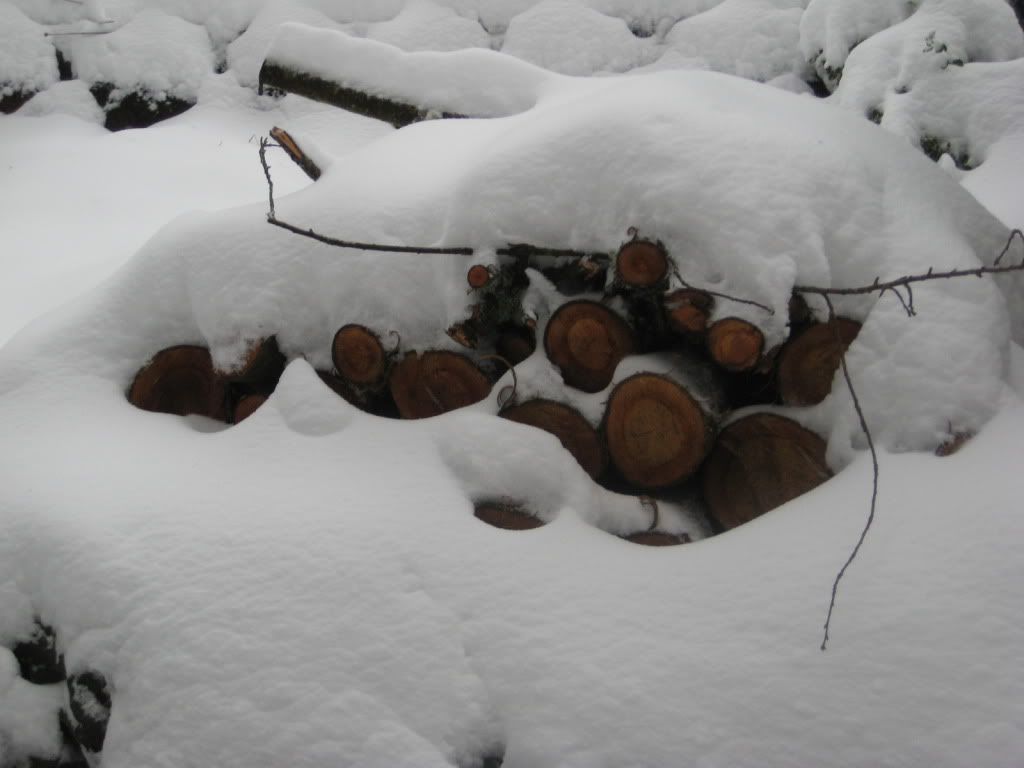 snowstorm2012001.jpg