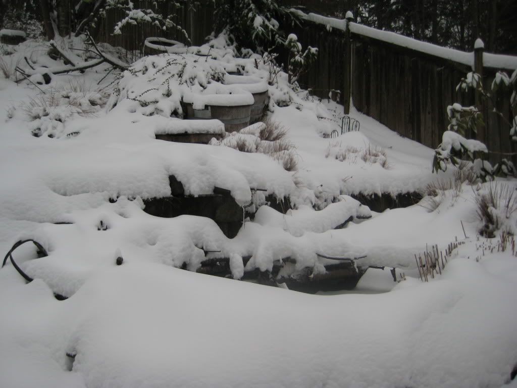 snowstorm2012002.jpg