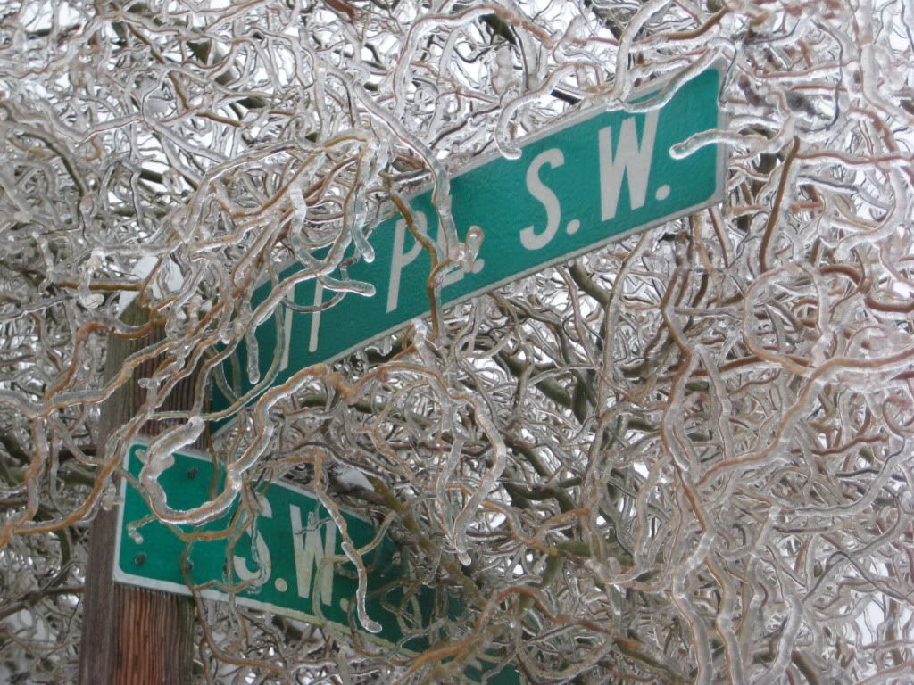 snowstorm2012032.jpg