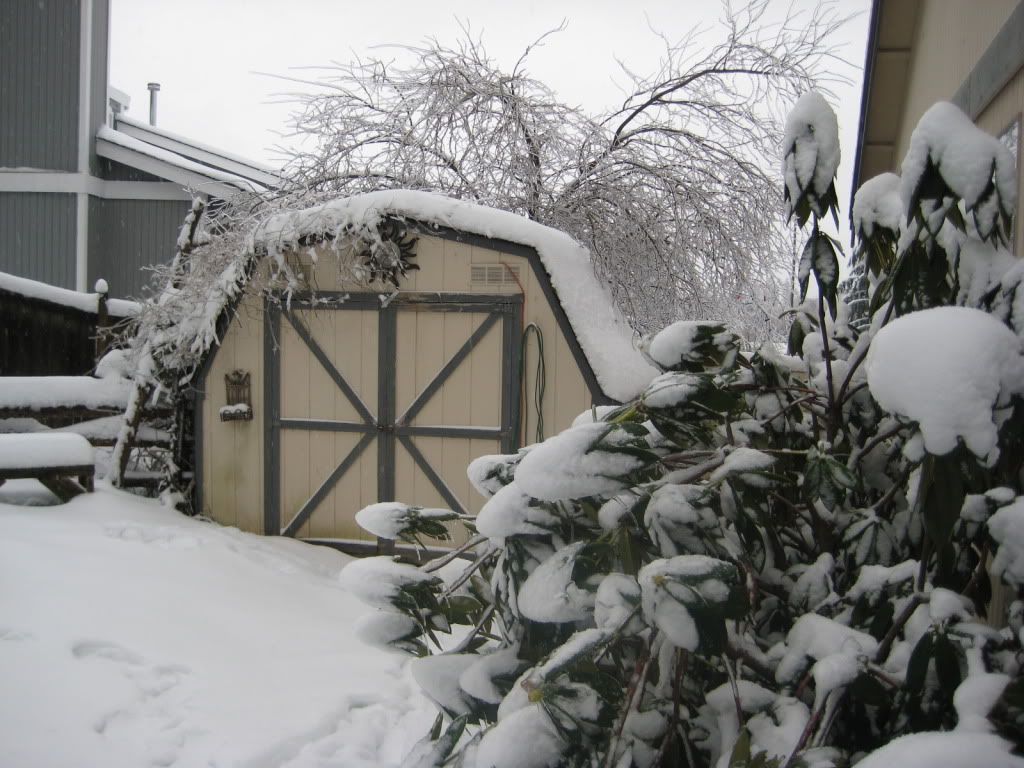 snowstorm2012041.jpg