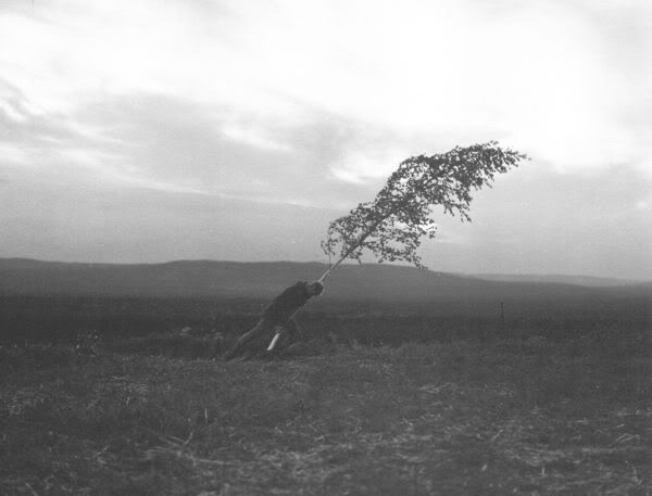 Ingmar Bergman's The Virgin Spring (1960) photo virgin-4.jpg