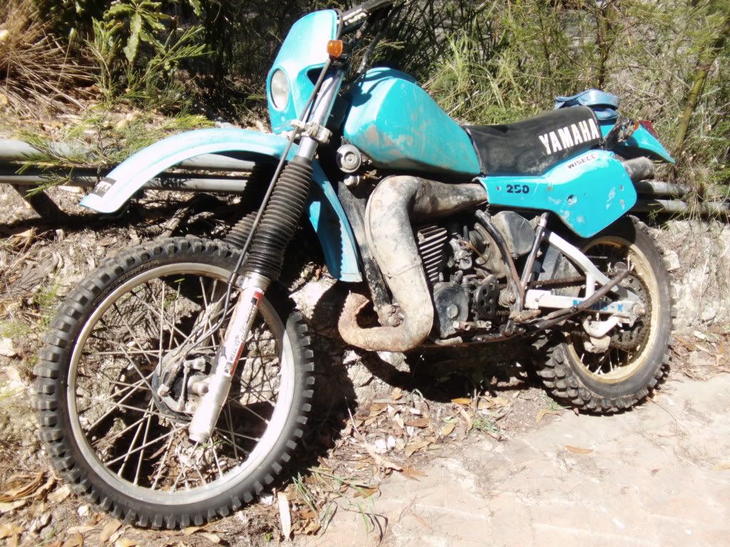 IT250J.jpg