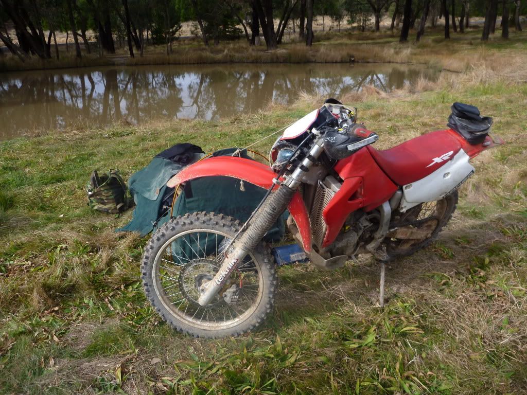 P1010233.jpg