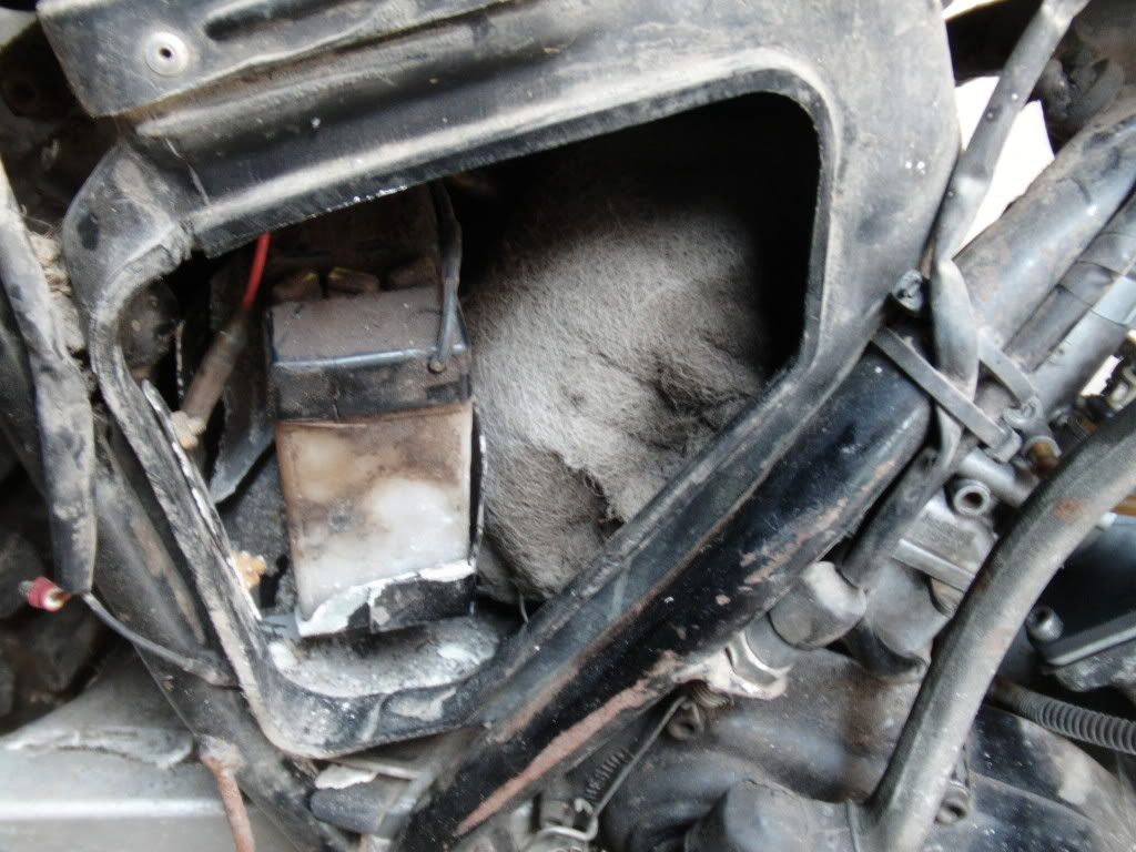 PICT0041.jpg