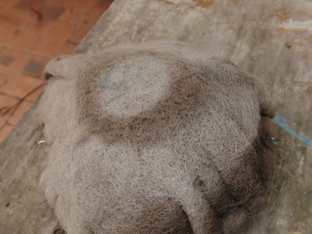 PICT0042.jpg