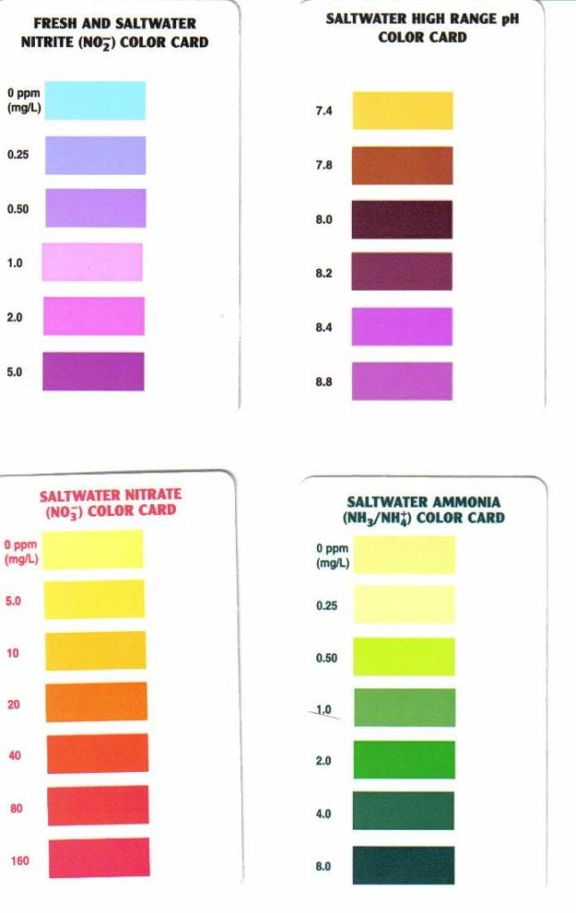 Api Reef Master Test Kit Color Chart