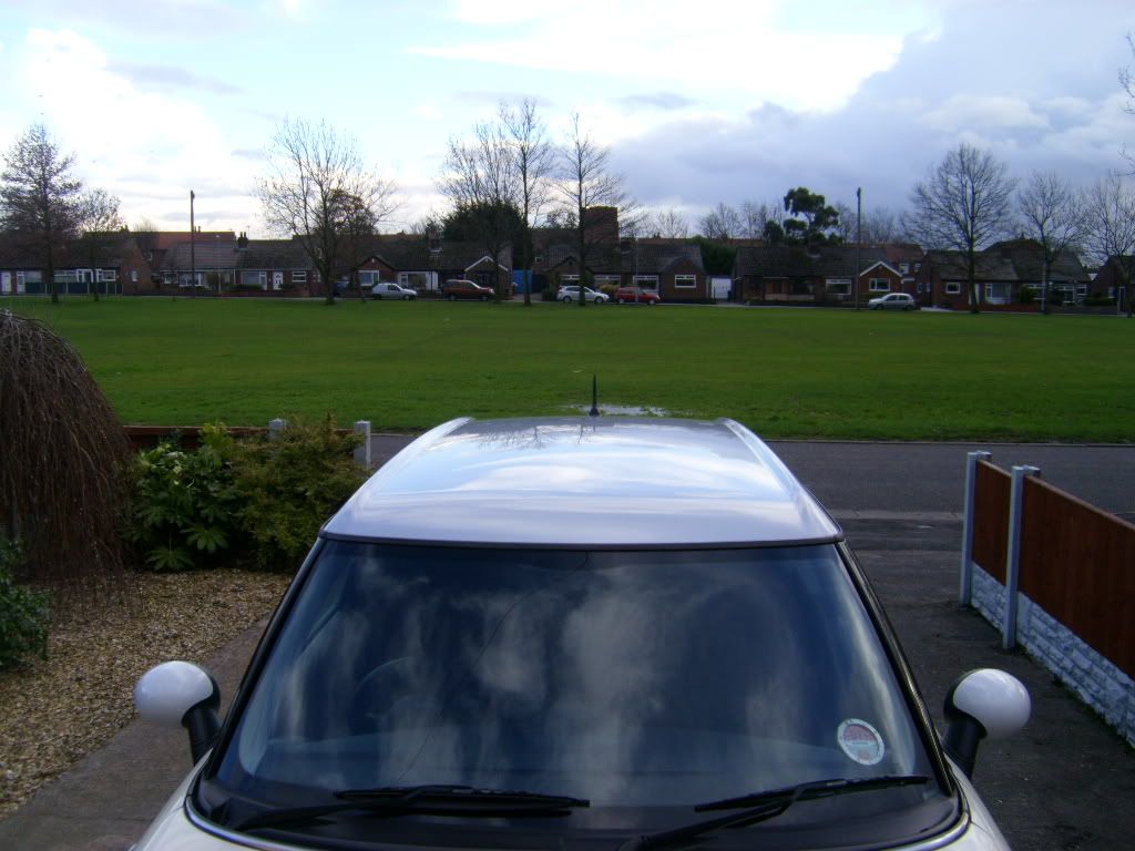 Removing stripes anyone used this? MINI Cooper Forum