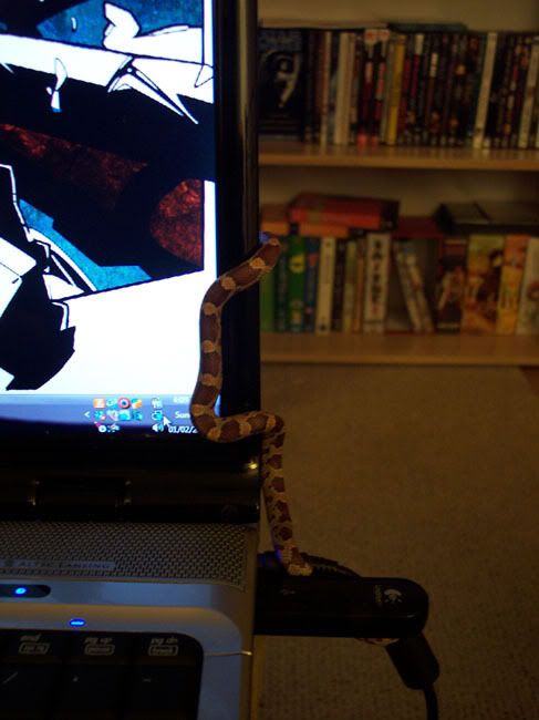 101_1015.jpg