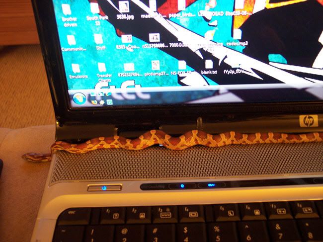 101_1020.jpg