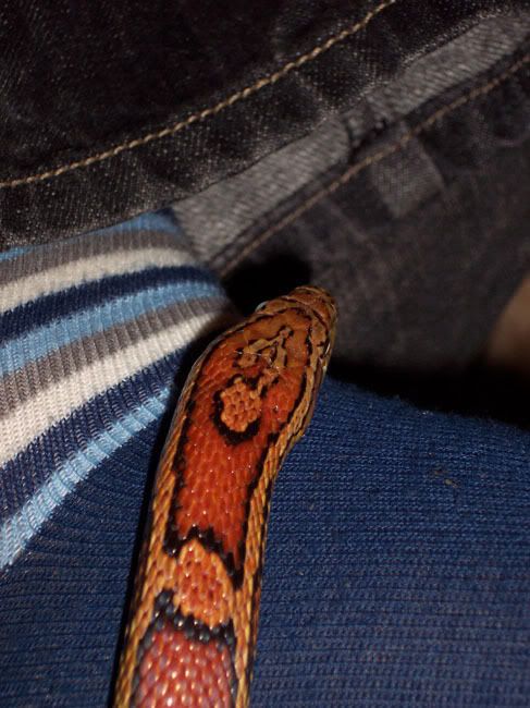 101_1033.jpg