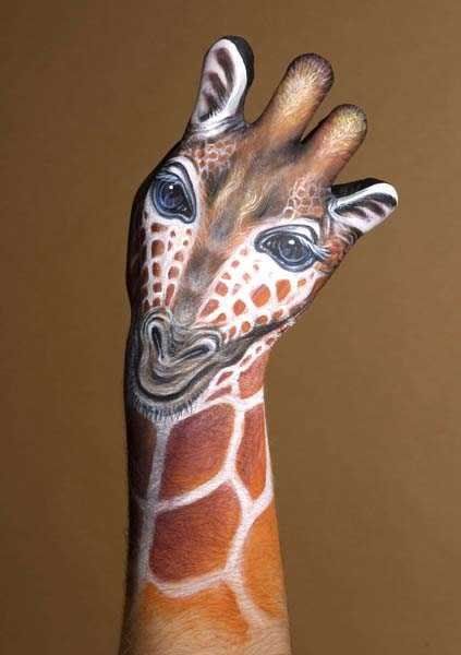 Giraffe Hand Pictures, Images and Photos