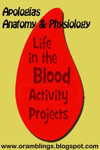 Anatomy & Physiology Blood Activities