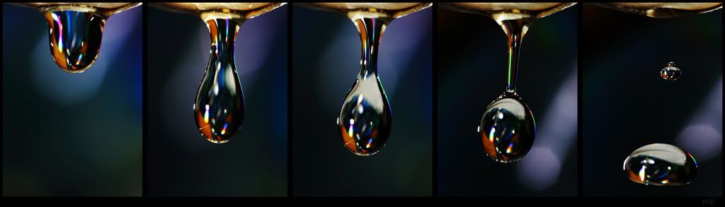 IMAGE: http://i721.photobucket.com/albums/ww217/mahmutboyaci/Macro/Untitled-1copya-1.jpg