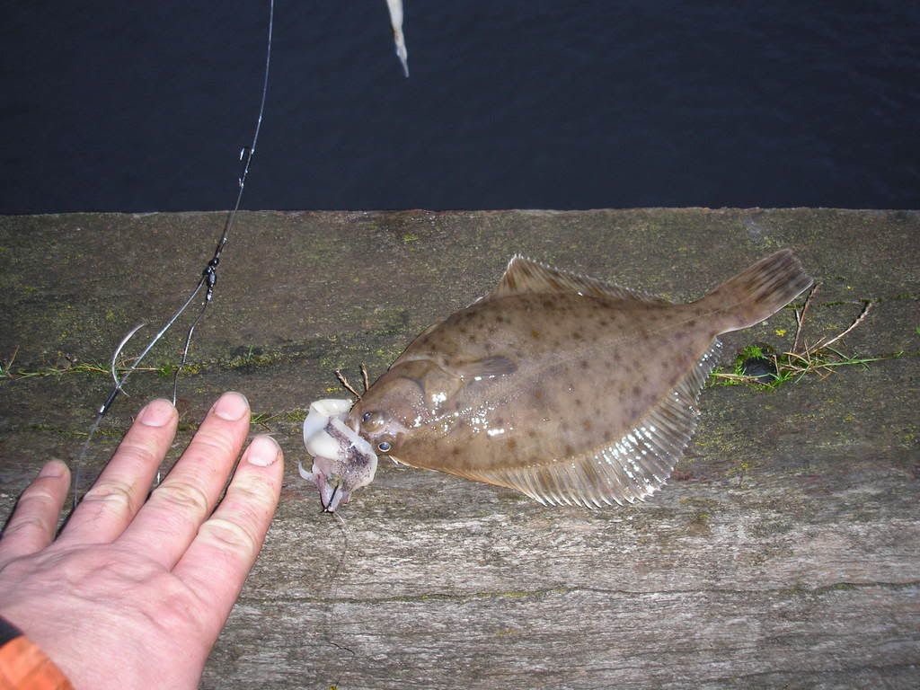 seahamjan2009002-1.jpg