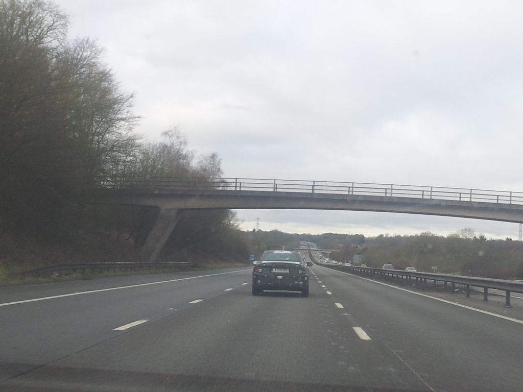 20130206_094909.jpg