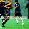 ant5.png