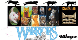 "Warriors" The Saga By Erin Hunter. Role Playing banner